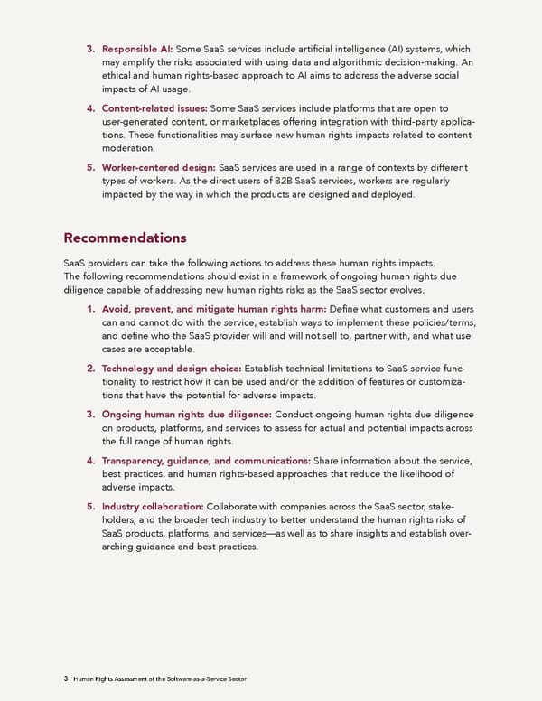 Human Rights Assessment of the Software-as-a-Service Sector - Page 4