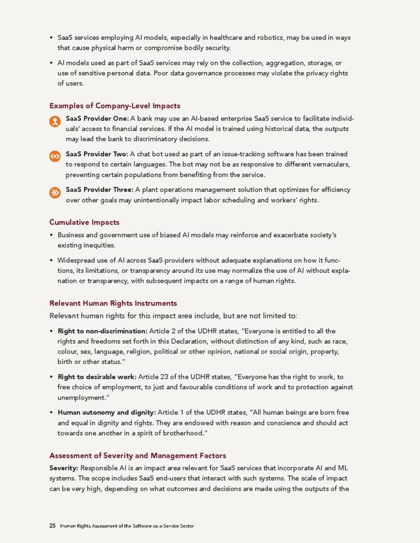 Human Rights Assessment of the Software-as-a-Service Sector - Page 26