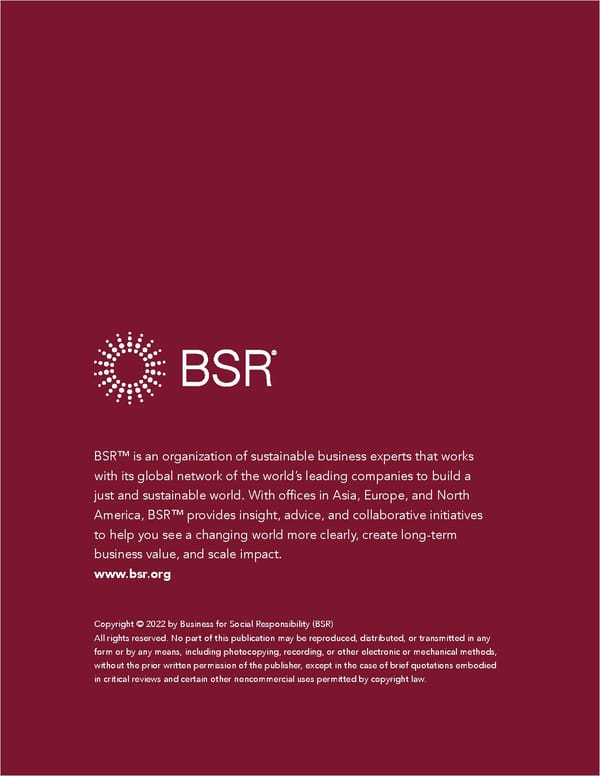 Human Rights Assessment of the Software-as-a-Service Sector - Page 53