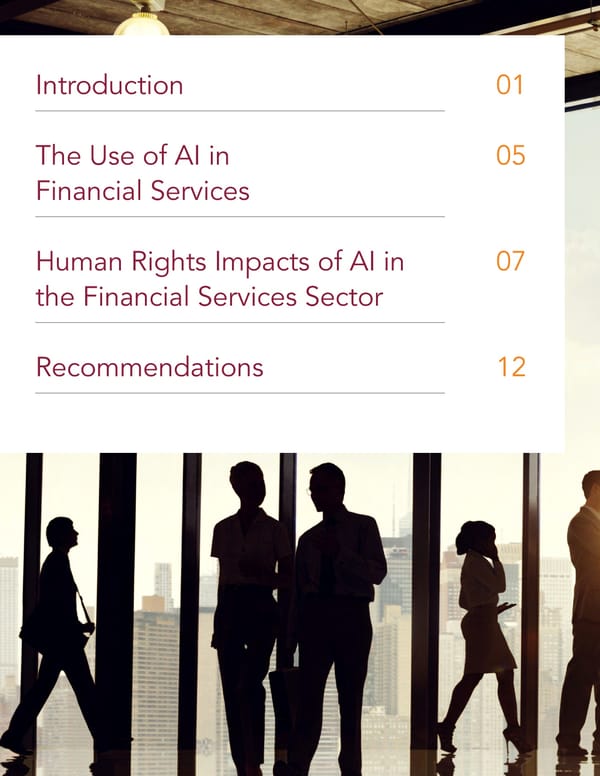 AI and Human Rights in Financial Services - Page 2