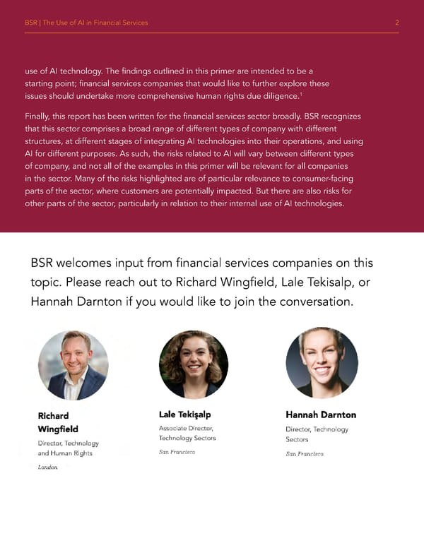 AI and Human Rights in Financial Services - Page 4