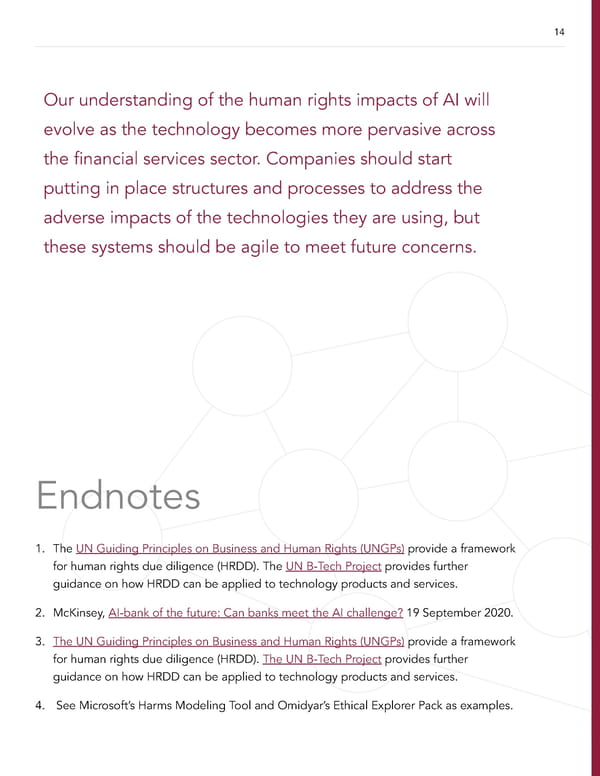 AI and Human Rights in Financial Services - Page 14