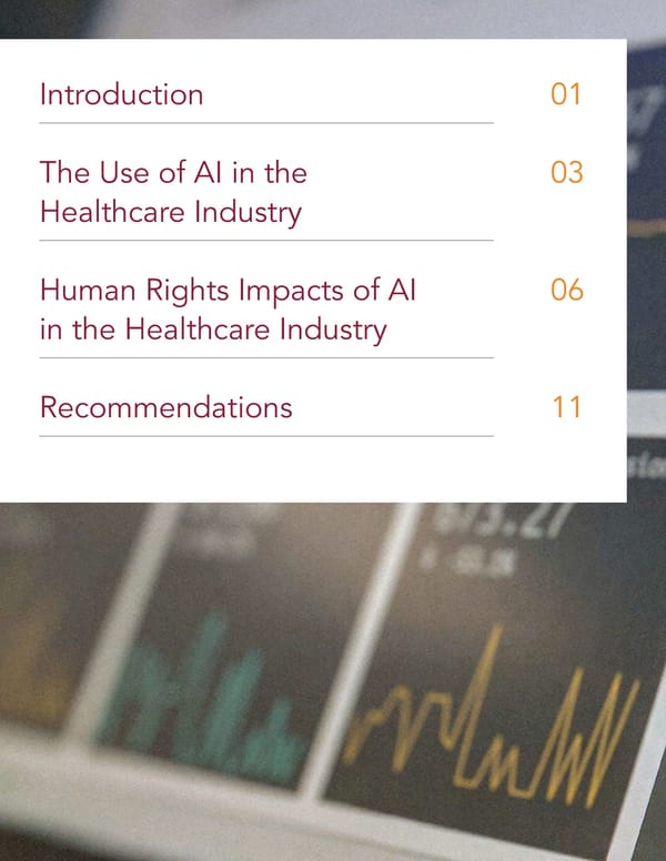 AI and Human Rights in Healthcare - Page 2