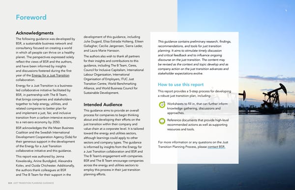 The Just Transition Planning Process for Business - Page 2